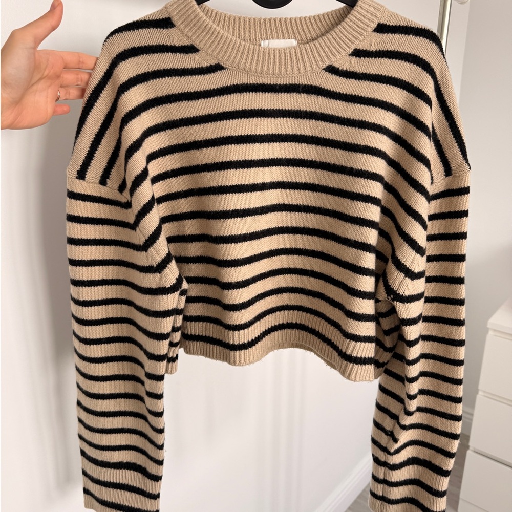 H&M Black and Tan Striped Sweater